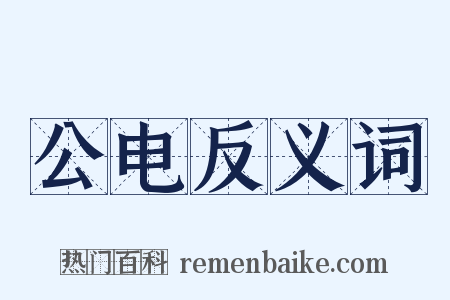公电反义词是什么意思的图片
